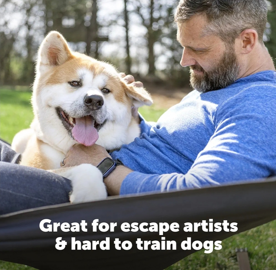 PetSafe Stubborn Dog In-Ground Pet Fence for Hard-to-Train Pets - Great for Hearing-Impaired Dogs - Covers 1/3-Acre Yard - Expandable up to 25 Acres - from the Parent Company of Invisible Fence Brand - Image 6
