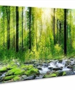 48x24in Canvas Art Decor Morning Sunrise Green Trees Landscape Sunshine Over Forest Photograph Printed on Canvas for Home Wall Decoration