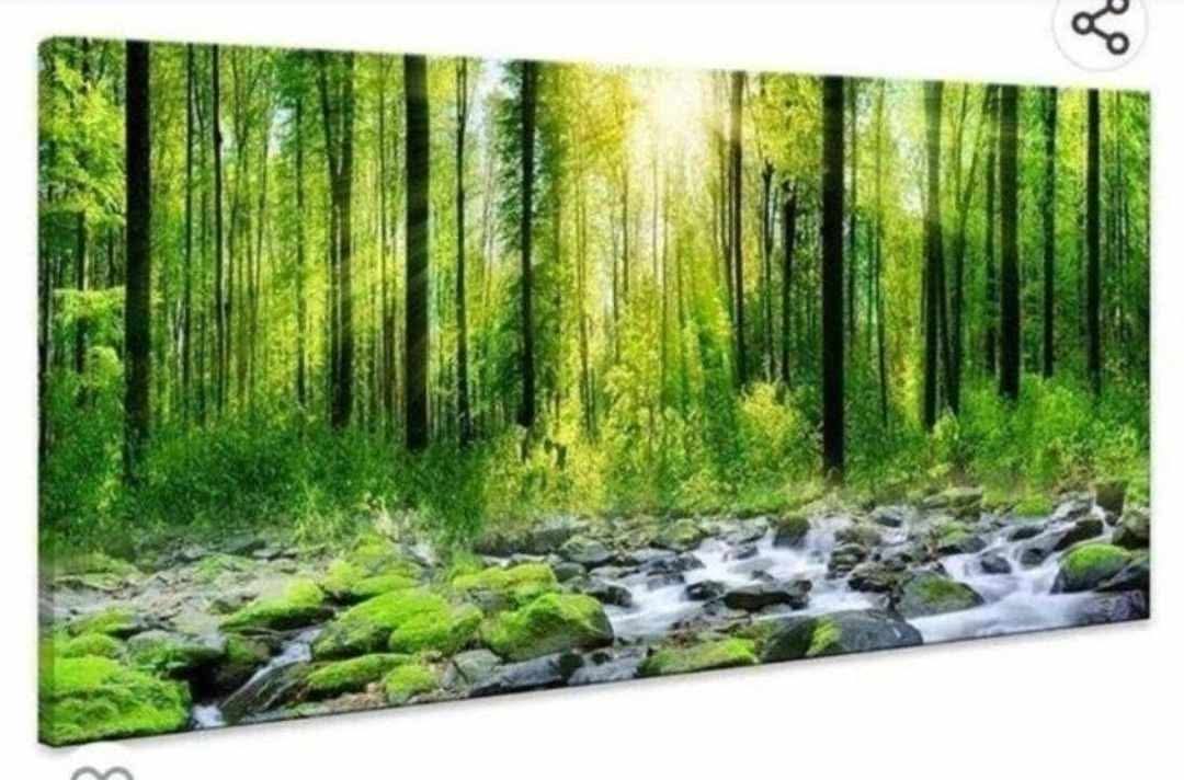 48x24in Canvas Art Decor Morning Sunrise Green Trees Landscape Sunshine Over Forest Photograph Printed on Canvas for Home Wall Decoration