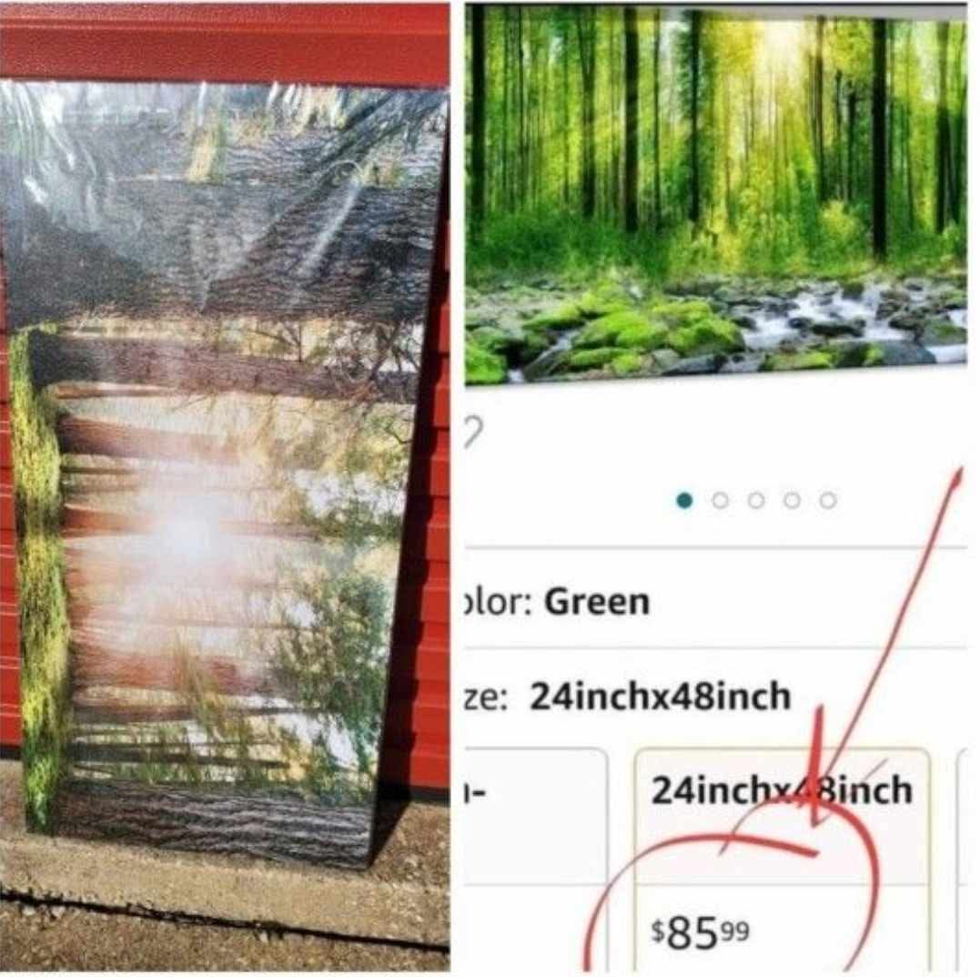 48x24in Canvas Art Decor Morning Sunrise Green Trees Landscape Sunshine Over Forest Photograph Printed on Canvas for Home Wall Decoration - Image 5