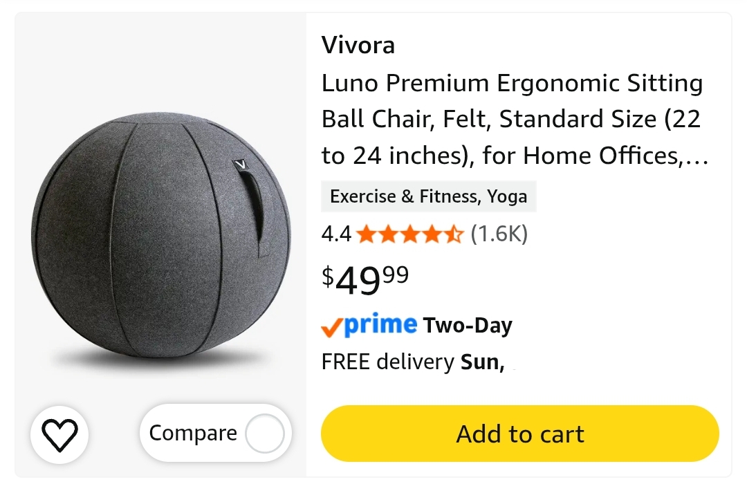 Premium Ergonomic Sitting Ball Chair, Felt, Standard Size (22 to 24 inches) - Image 2