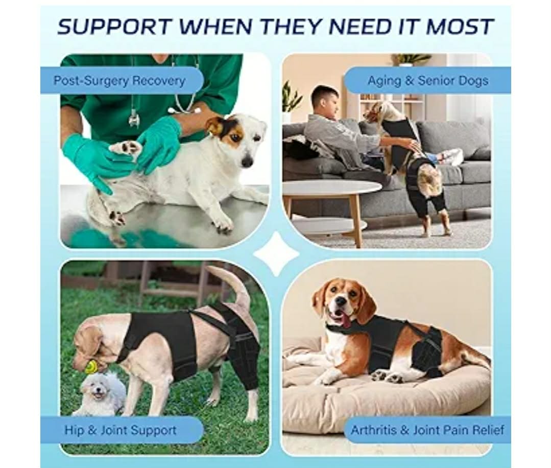 Dog Knee Brace for Torn ACL Hind Leg– Dog Leg Brace with Metal Stabilizers, Large - Image 6