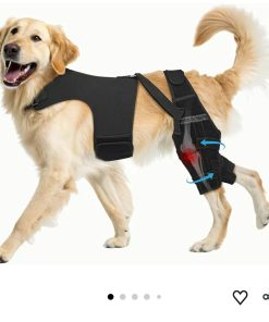 Dog Knee Brace for Torn ACL Hind Leg– Dog Leg Brace with Metal Stabilizers, Large
