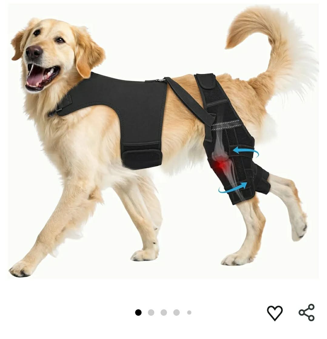 Dog Knee Brace for Torn ACL Hind Leg– Dog Leg Brace with Metal Stabilizers, Large