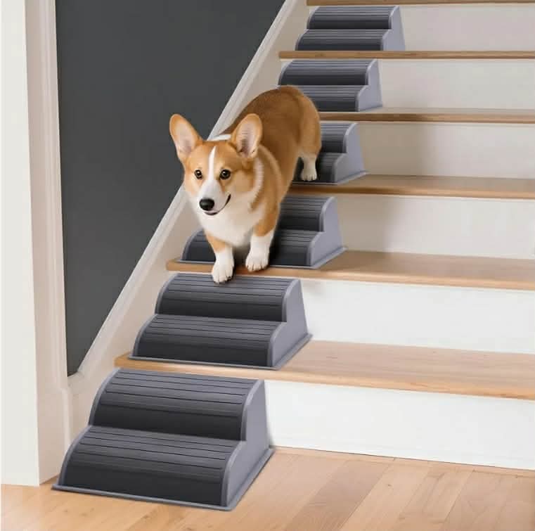 2-Step Modular Dog Ramp - Portable Non-Slip Stairs for Small Dogs with High Support, 9.5" D Lightweight Plastic Pet Steps