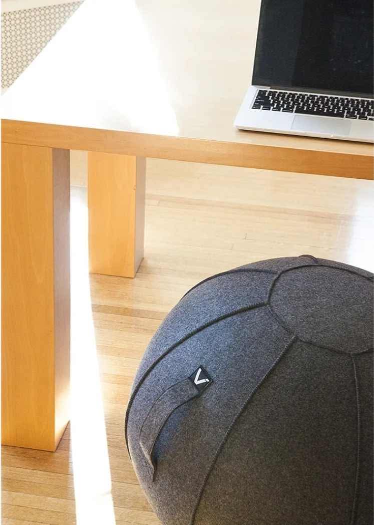 Premium Ergonomic Sitting Ball Chair, Felt, Standard Size (22 to 24 inches) - Image 10