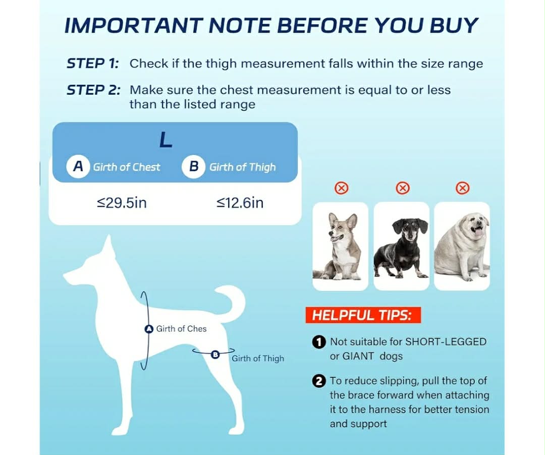 Dog Knee Brace for Torn ACL Hind Leg– Dog Leg Brace with Metal Stabilizers, Large - Image 9