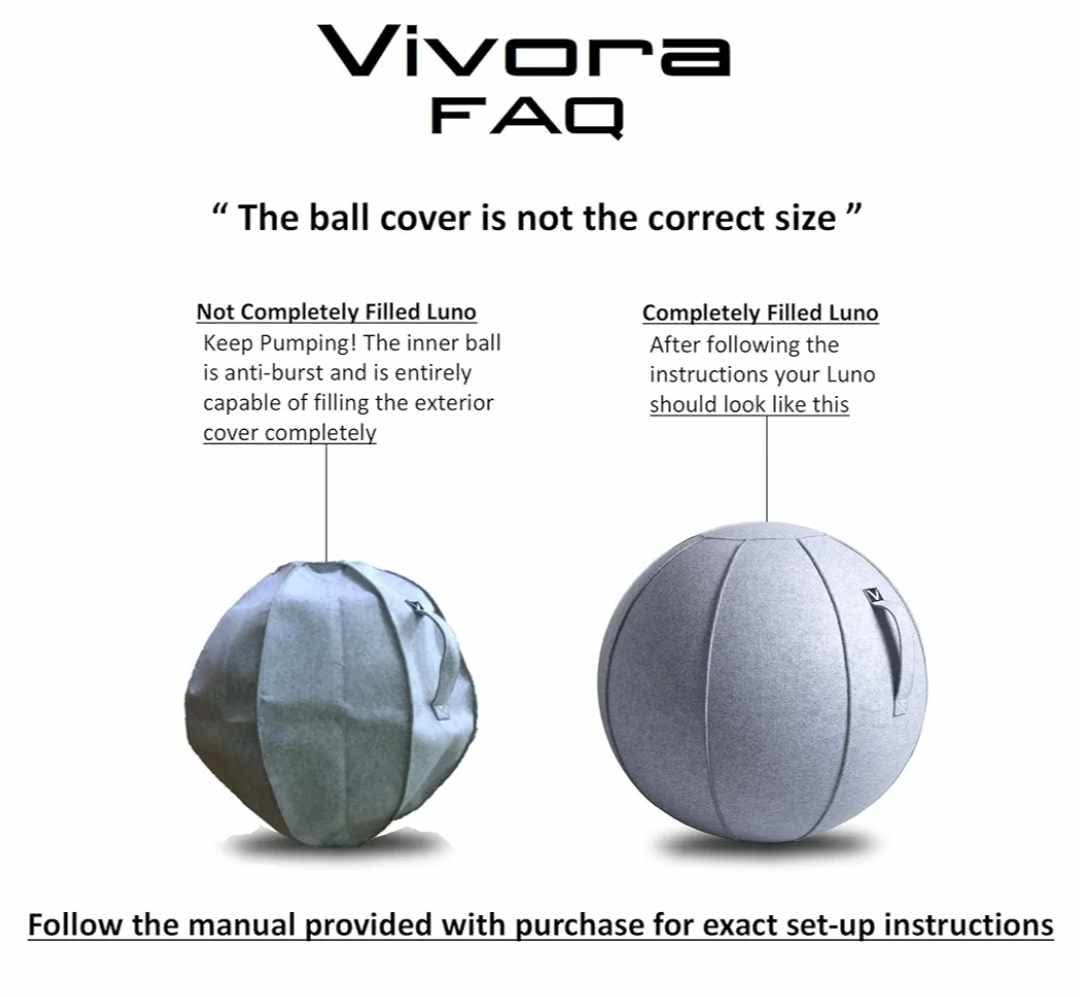 Premium Ergonomic Sitting Ball Chair, Felt, Standard Size (22 to 24 inches) - Image 12