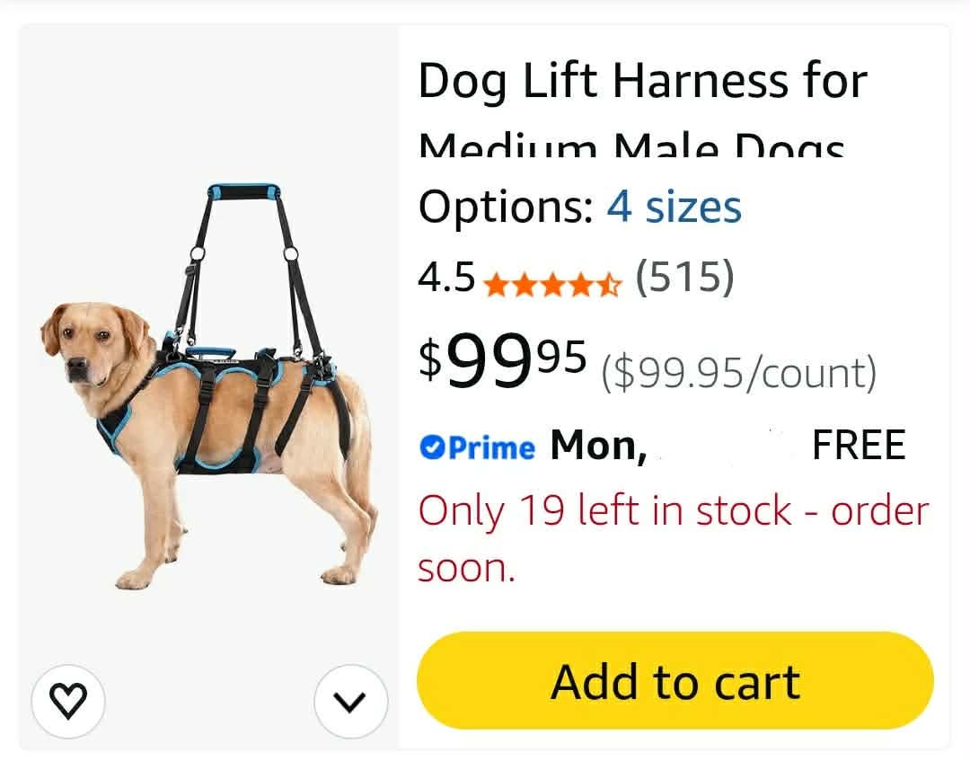 Dog Lift Harness for Medium Male Dogs Friendly, 2 in 1 Detachable Support Harness, Full Body Dog Carrying with 4 Handles - Image 2