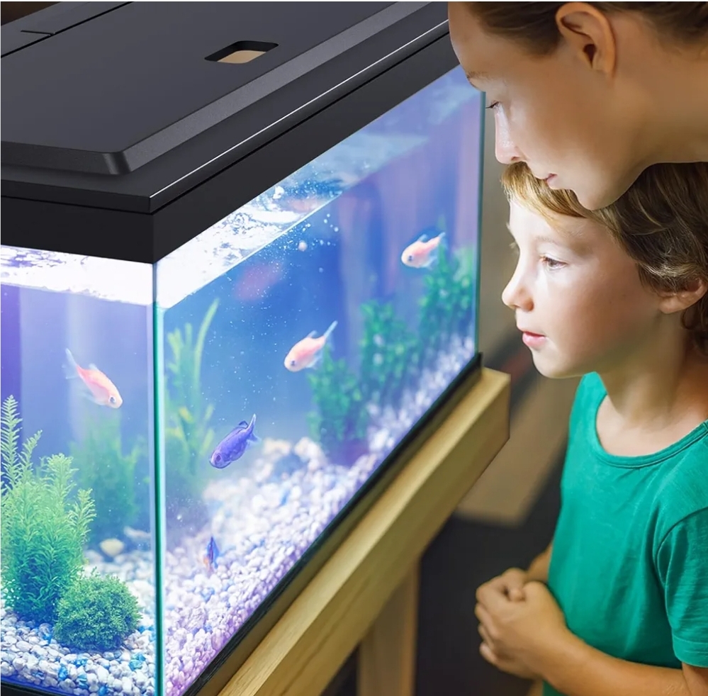 LED Aquarium Hood, Colored Lights, Fits 24" Framed Aquariums, Black - Image 9