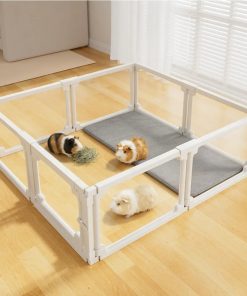 Acrylic Guinea Pig Cages for 2, 15.5 sq ft Guinea Pigs Playpen