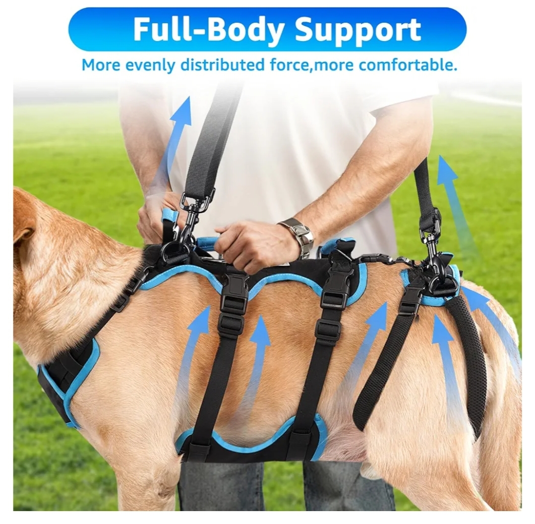Dog Lift Harness for Medium Male Dogs Friendly, 2 in 1 Detachable Support Harness, Full Body Dog Carrying with 4 Handles - Image 8