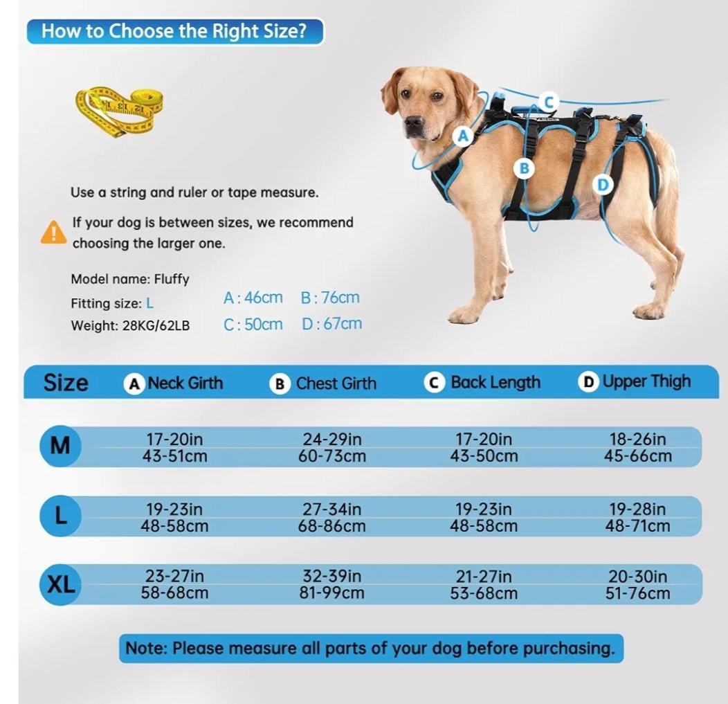 Dog Lift Harness for Medium Male Dogs Friendly, 2 in 1 Detachable Support Harness, Full Body Dog Carrying with 4 Handles - Image 9
