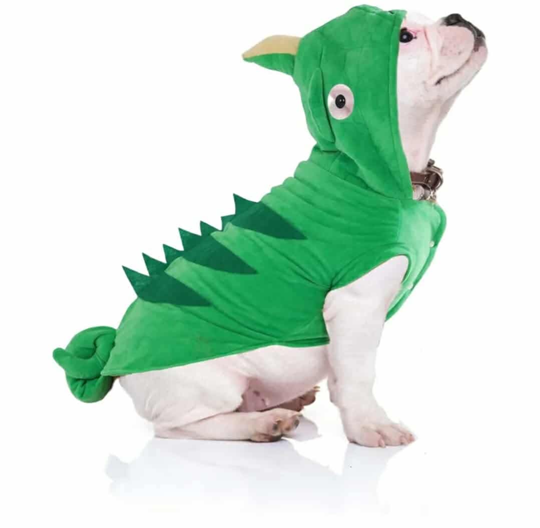 Chameleon Dog Costume for Halloween, XL