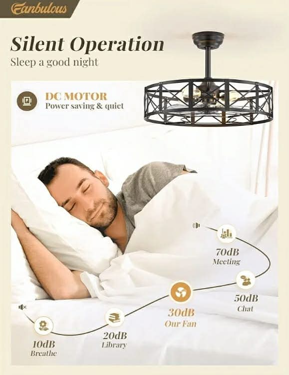 23 Inch Fandelier Caged Ceiling Fans with Lights and Remote, Black Bladeless Ceiling Fan with 6 Speeds and Timing - Image 8