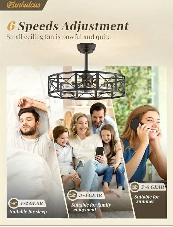 23 Inch Fandelier Caged Ceiling Fans with Lights and Remote, Black Bladeless Ceiling Fan with 6 Speeds and Timing - Image 9